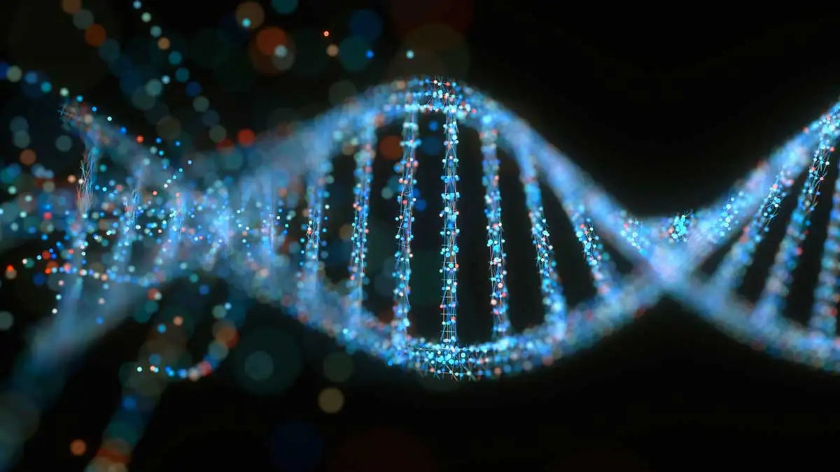 Decoding the Blueprint of Life: Understanding the Basics of DNA